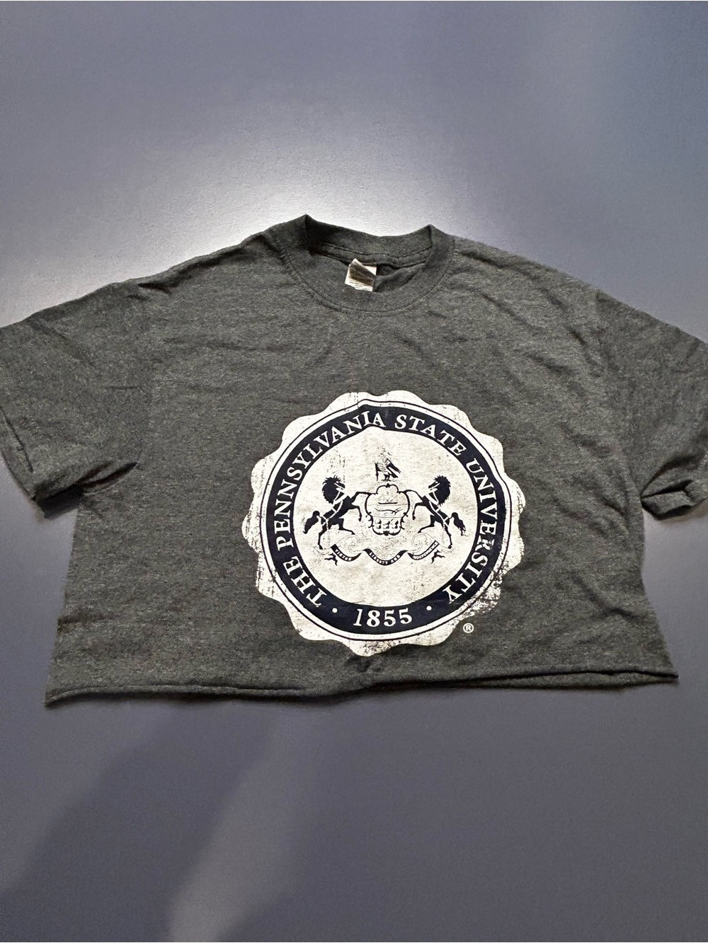 PennState cropped women’s t shirt size S P Gray Crest Tee